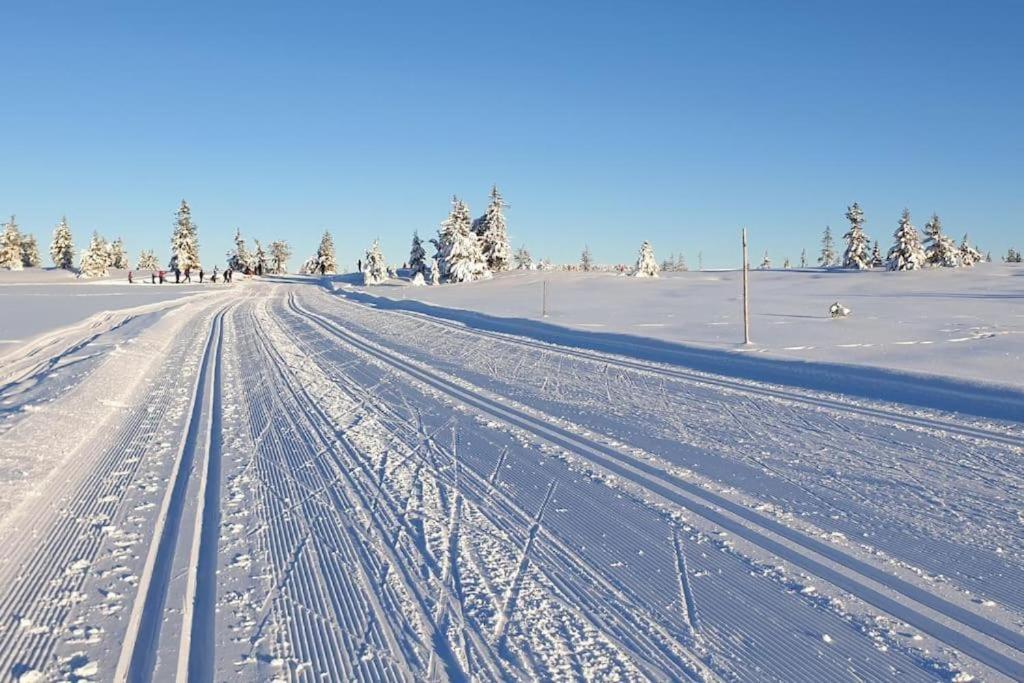 Leilighet Med Panoramautsikt Sjusjoen Innendors Parkering Εξωτερικό φωτογραφία